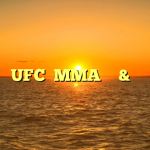 UFC와 MMA 베팅 & 오즈